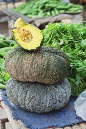 Nam Tao Kabocha Pumpkin