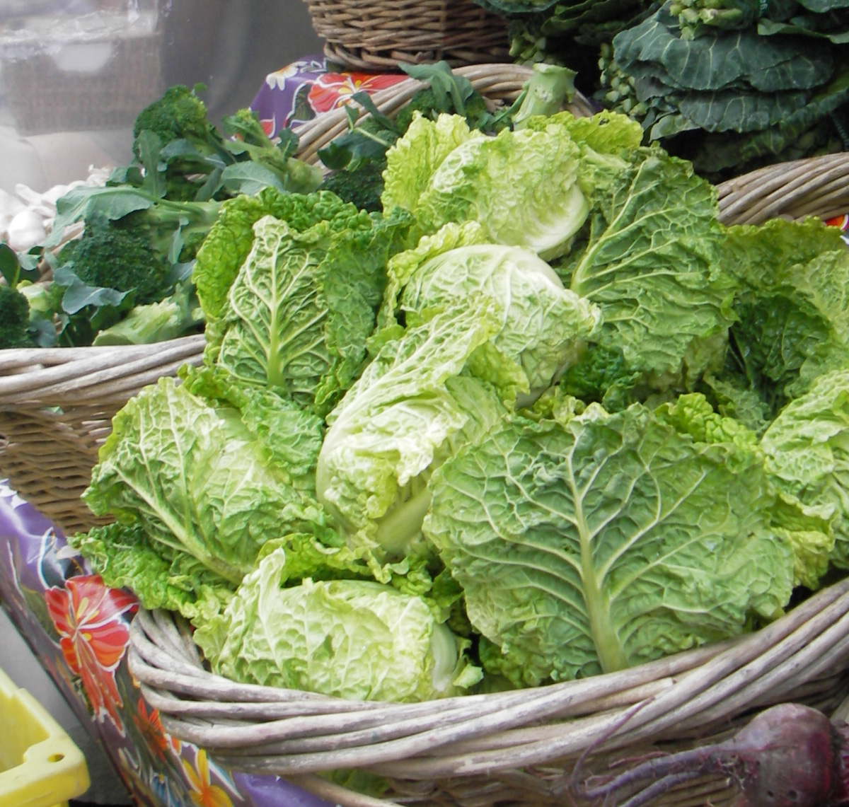 ~Stir-fried Cabbage with Garlic and Ginger Recipe~ | Pranee's Thai Kitchen