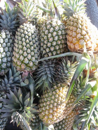 Phuket Pineapple