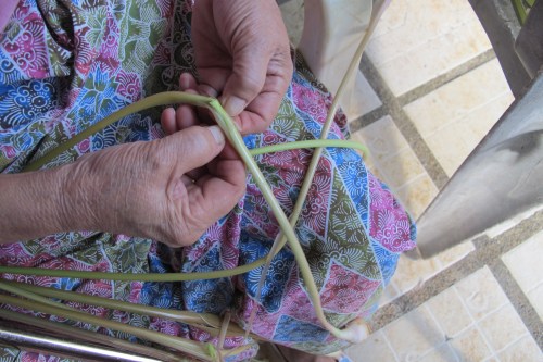 My mom removing some hard fibrous leave for young leave