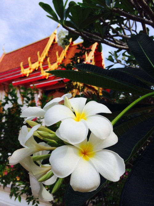 Thai Temple