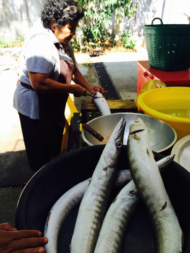 Barracudas - ปลาสาก For Hua Mok, Thai Fish Cake