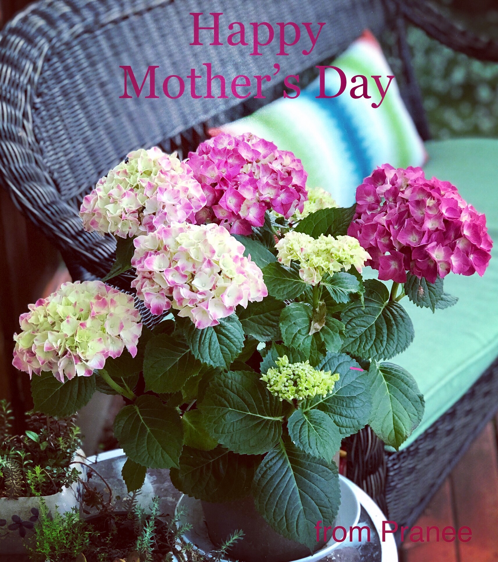 368B6C8B-8105-4154-95DC-487F9A3305B7