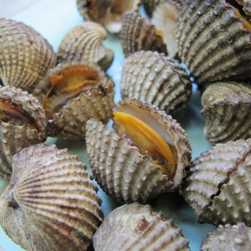 Blanched cockles - หอยแครงลวก