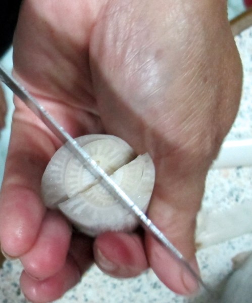 Cut Banana Stem in four pieces