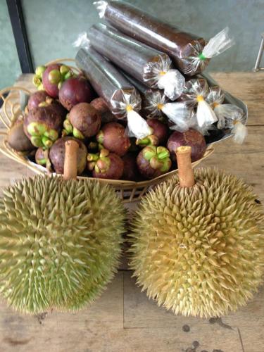 Mangosteen, durian and durian candy