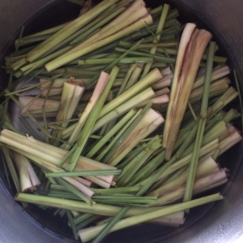 Lemongrass - Takrai - ตะไคร้