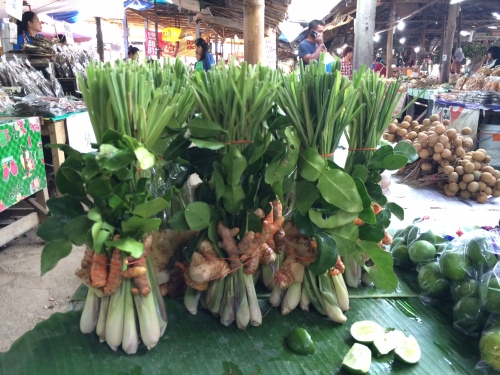 Thai Herbs: Lemongrass, Kaffir Lime Leaves, Galangal and Turmeric